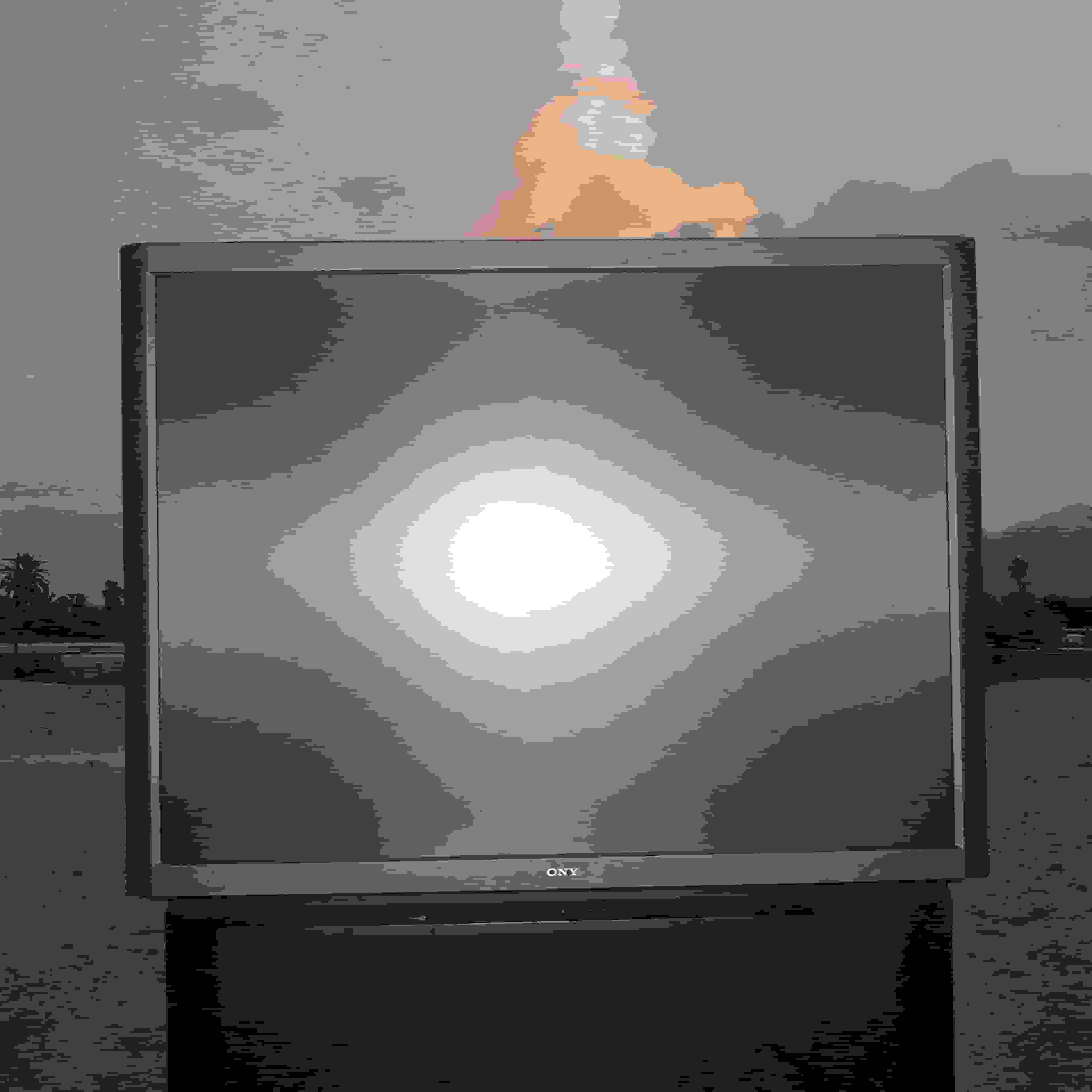 Blurred release artwork background