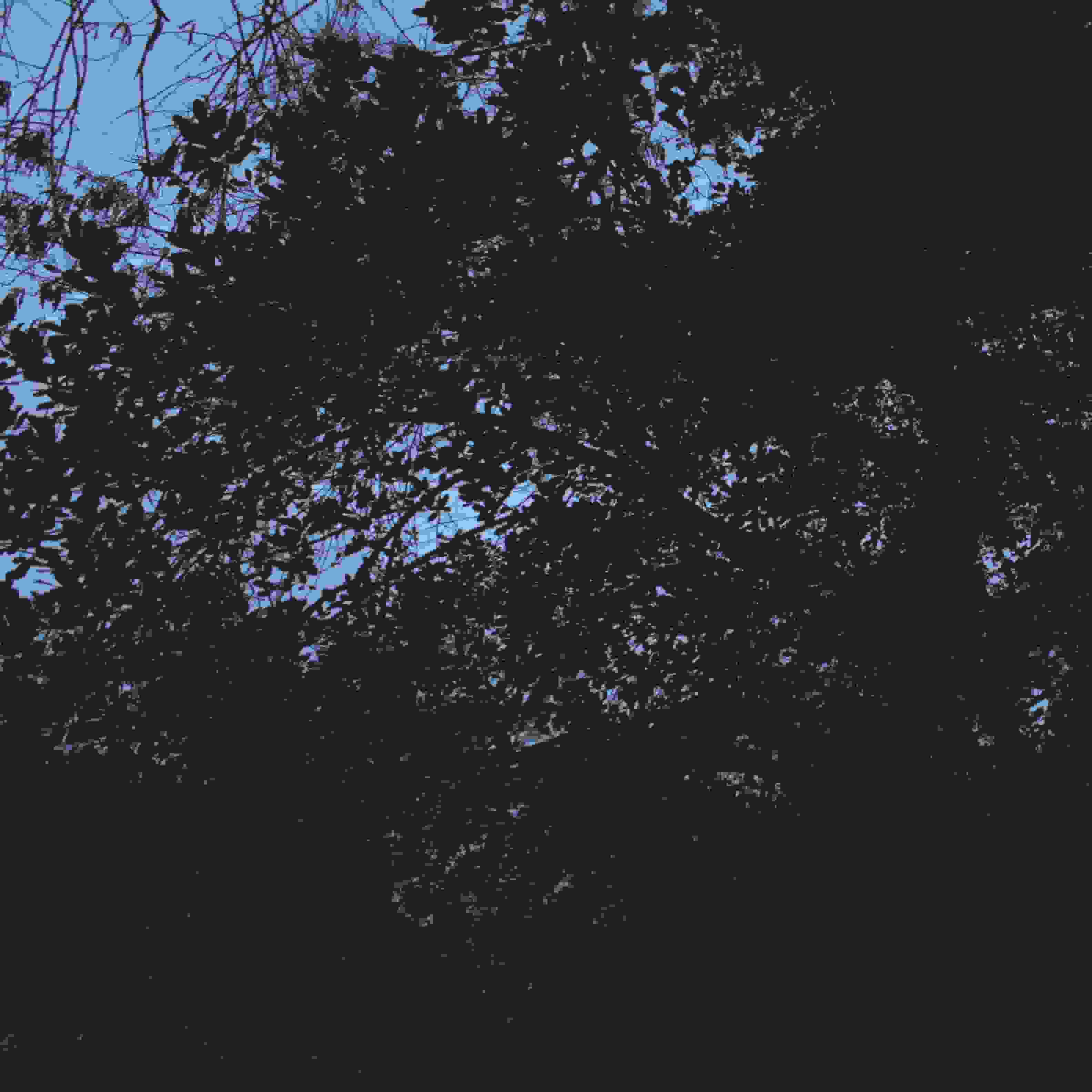 Blurred release artwork background
