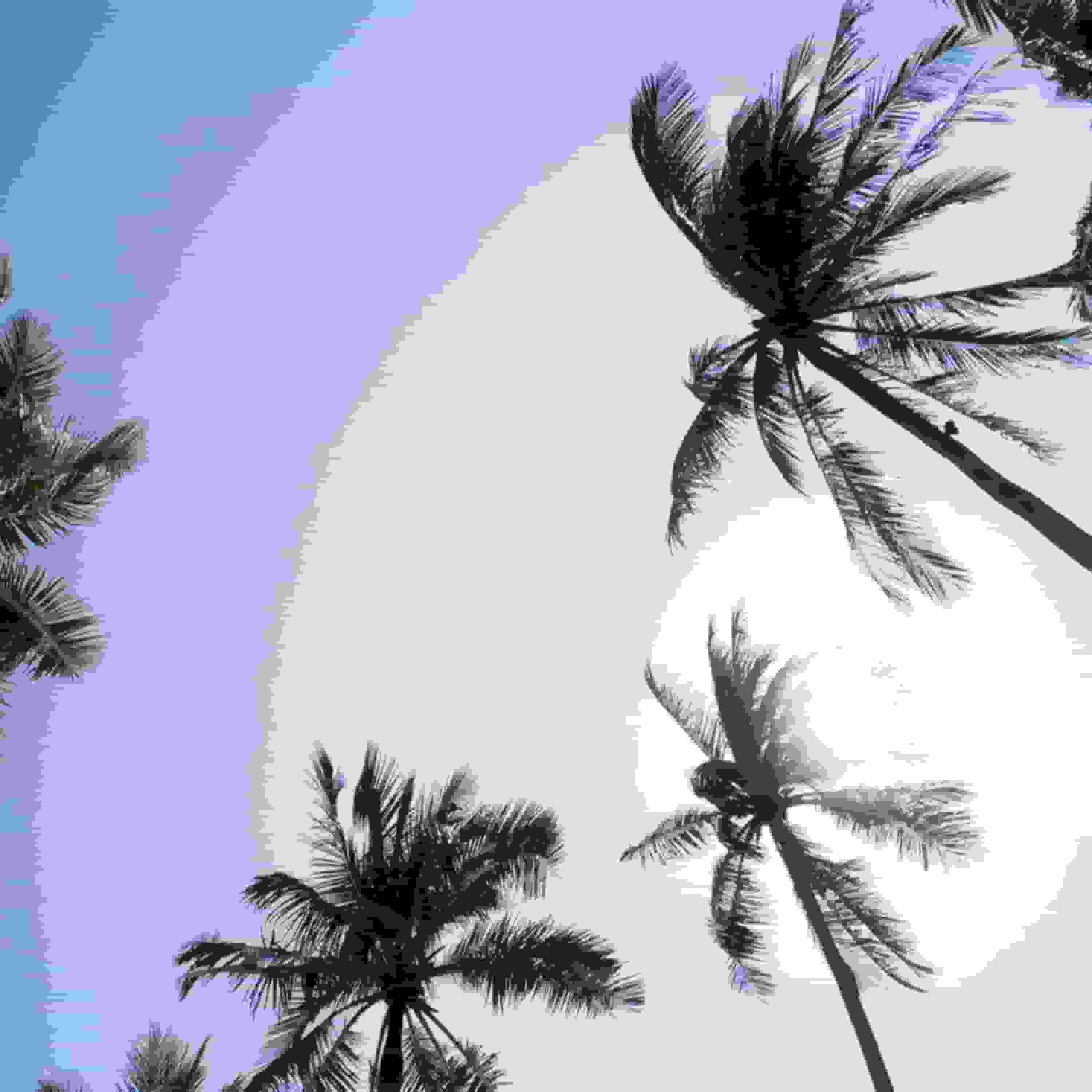 Blurred release artwork background