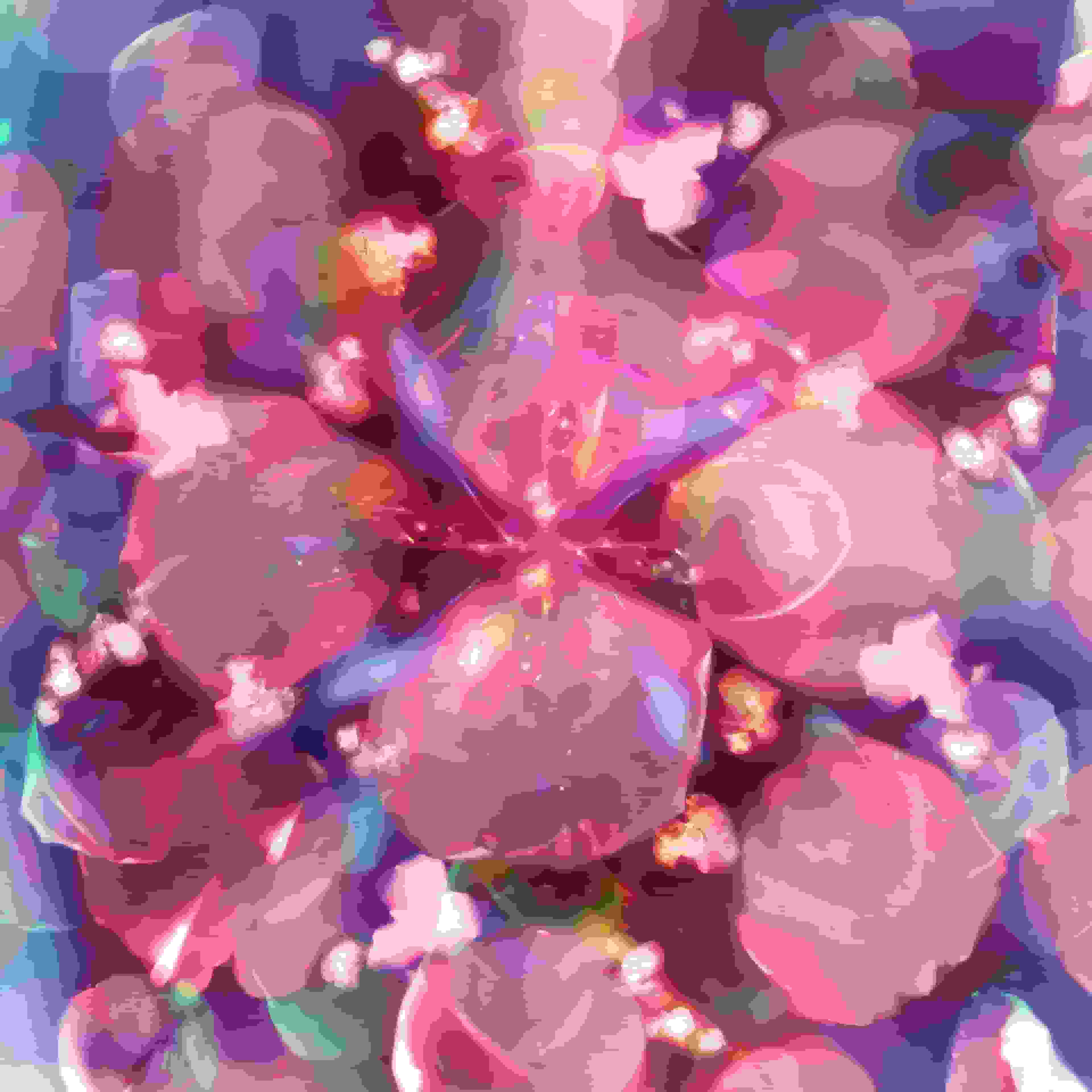 Blurred release artwork background