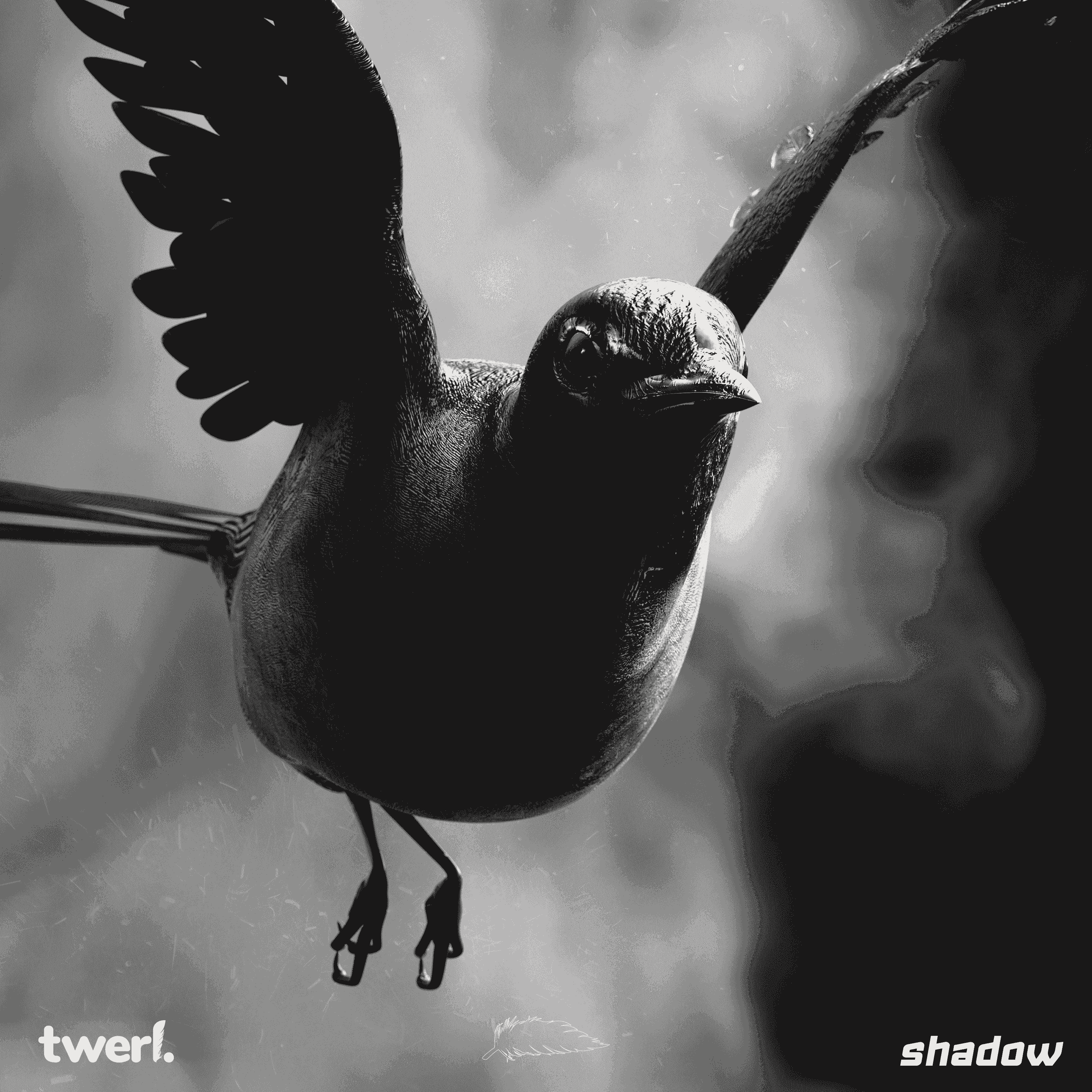 Blurred release artwork background