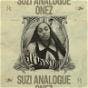 Suzi Analogue - ONEZ (DJ Mix Version)