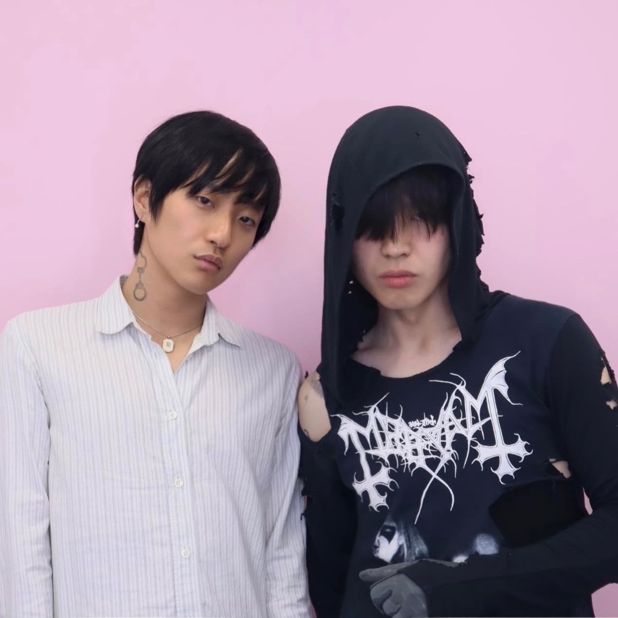 Profile header
