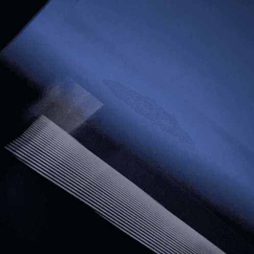Profile header