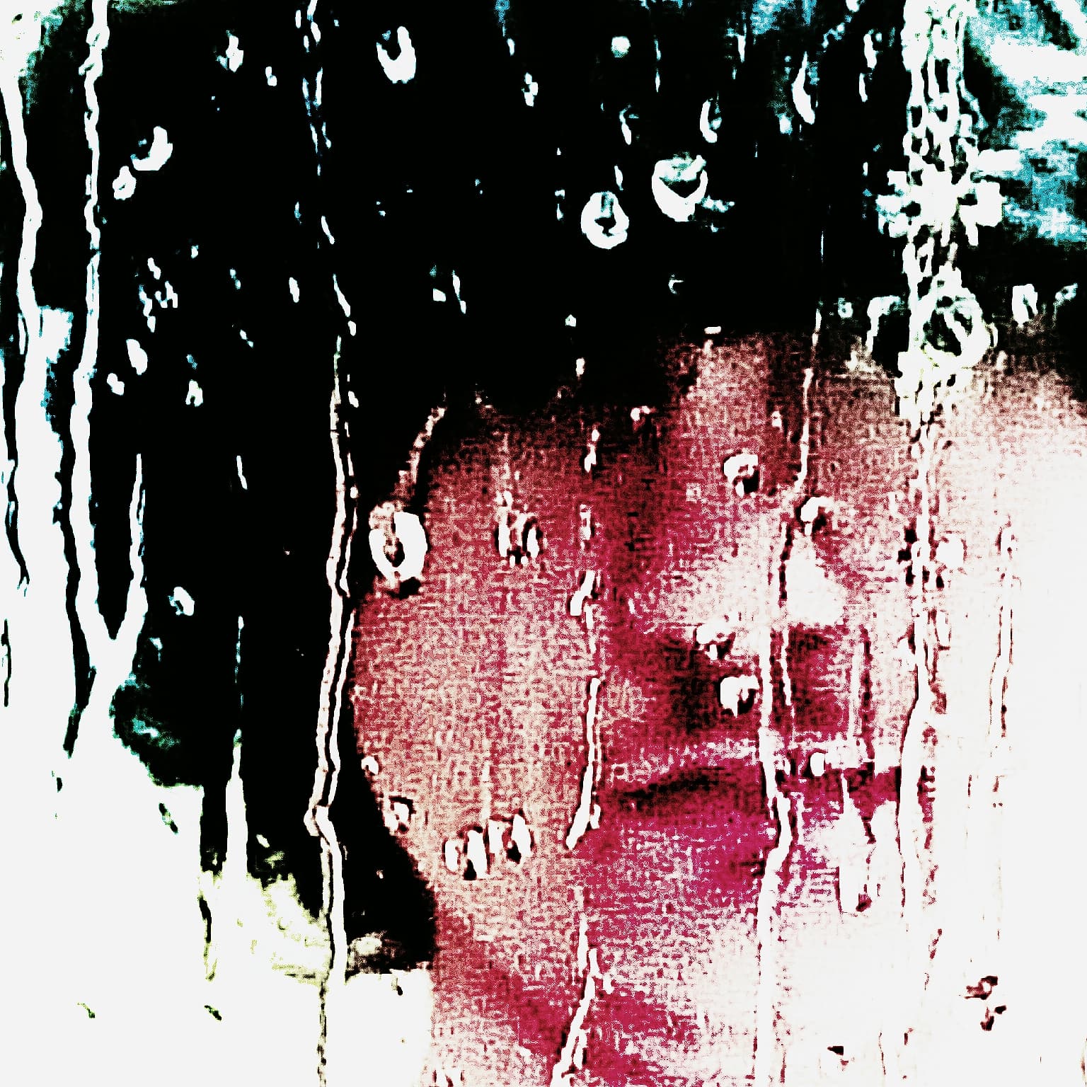Profile header