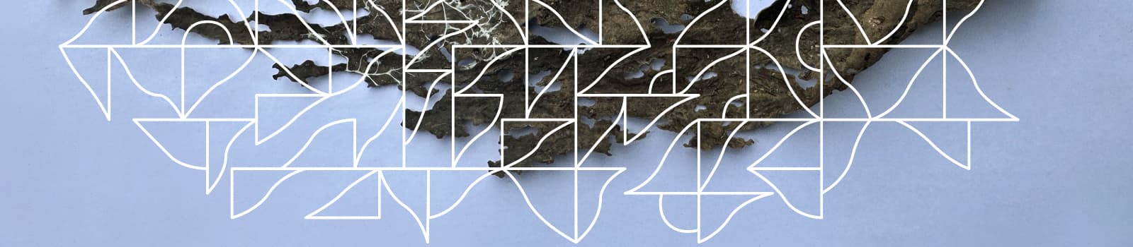 Profile header