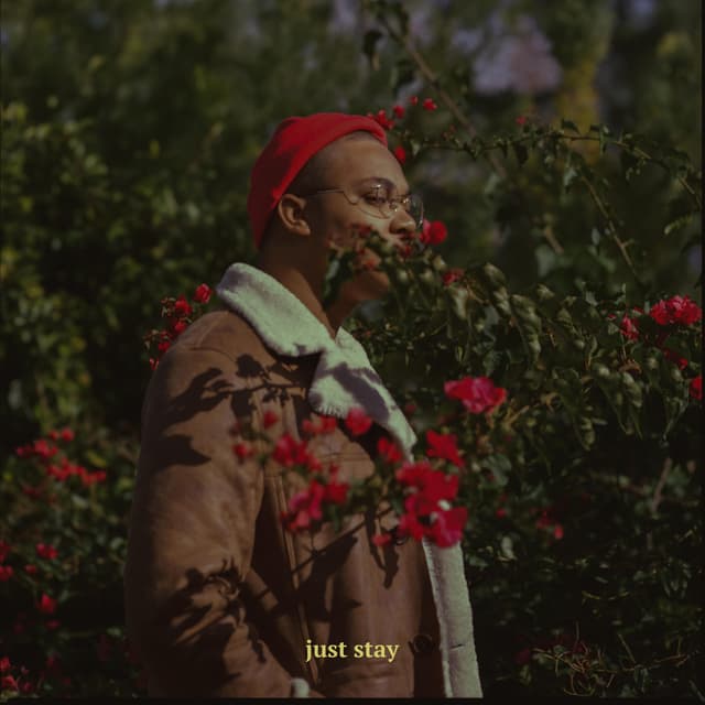 Artwork for just stay by McClenney