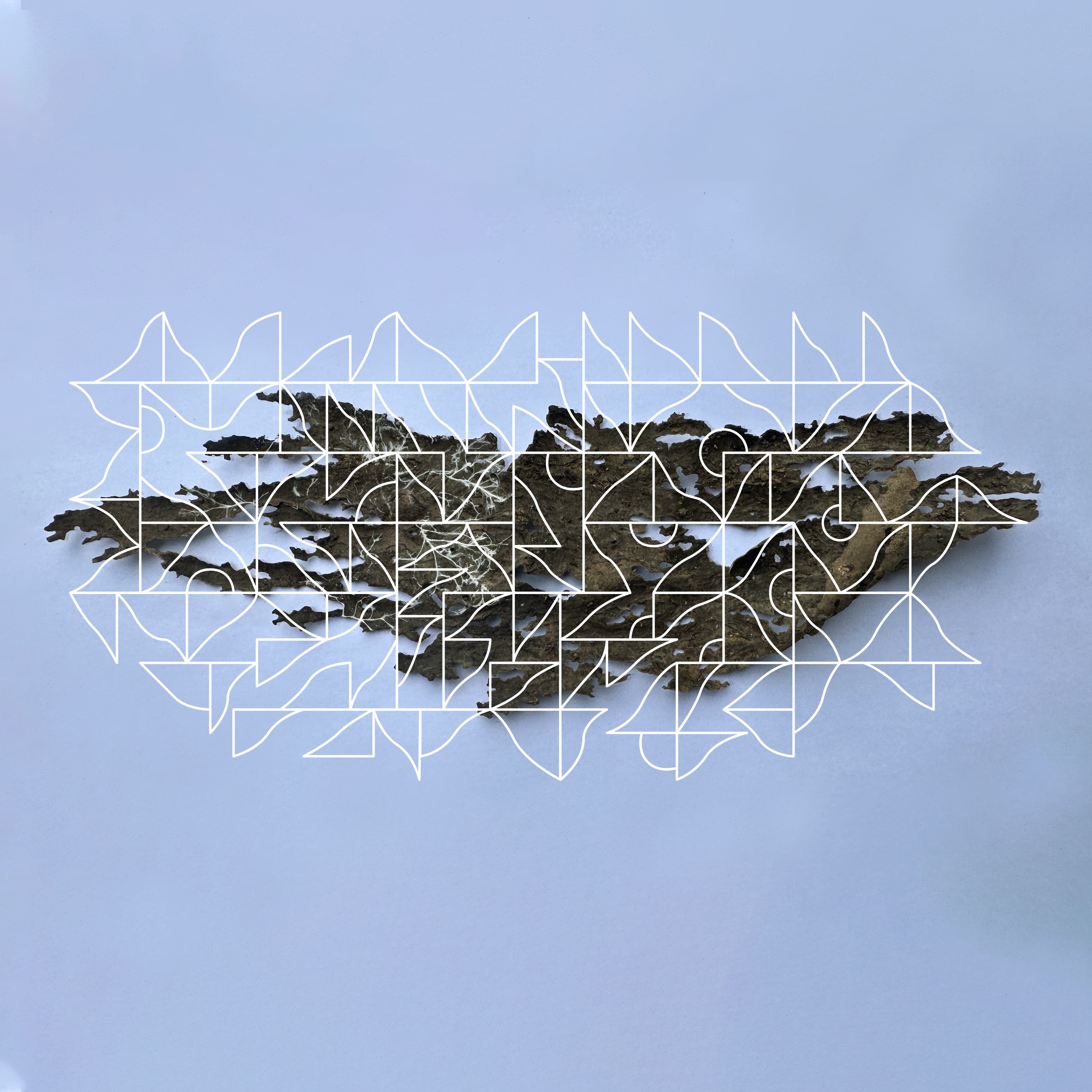 Blurred release artwork background