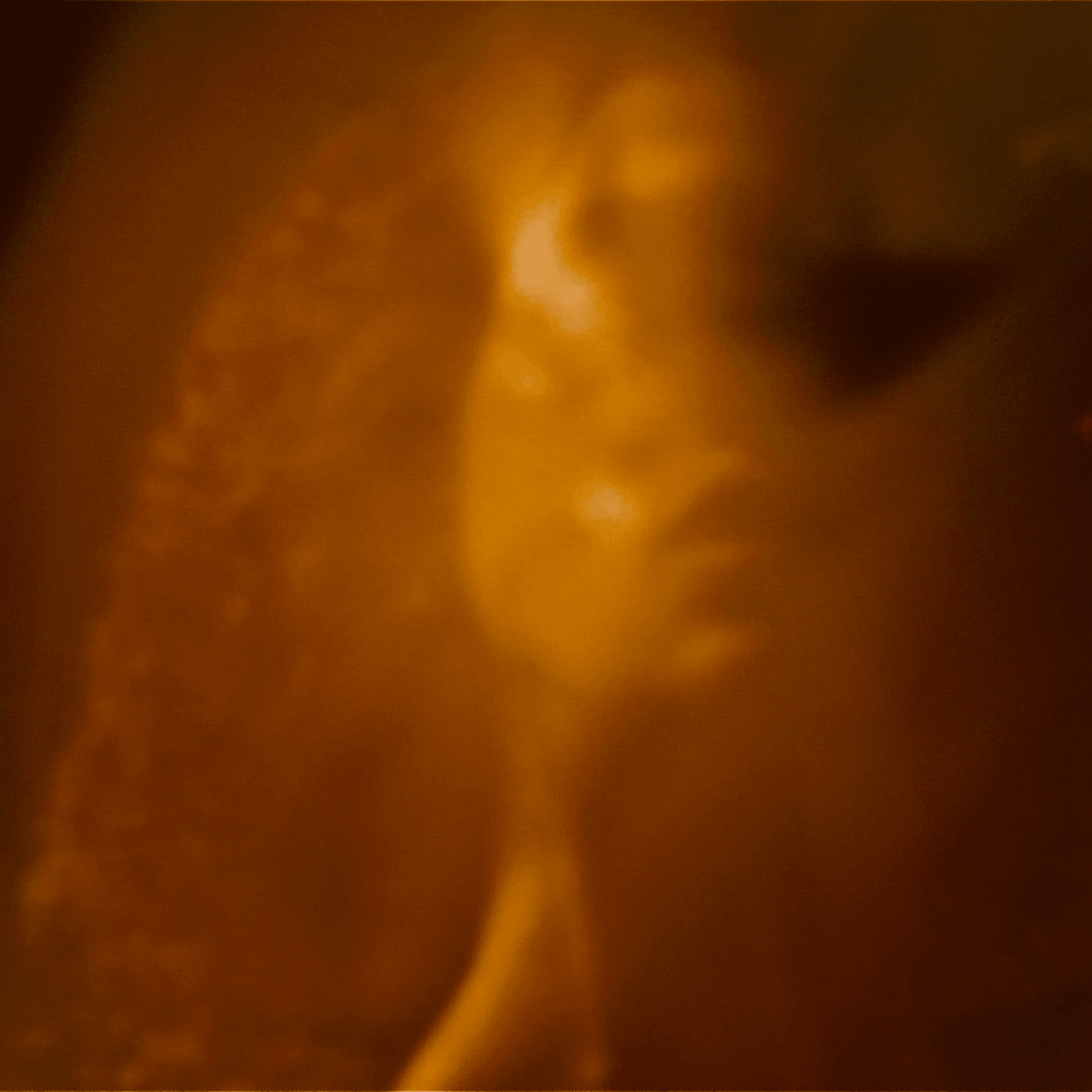 Blurred release artwork background