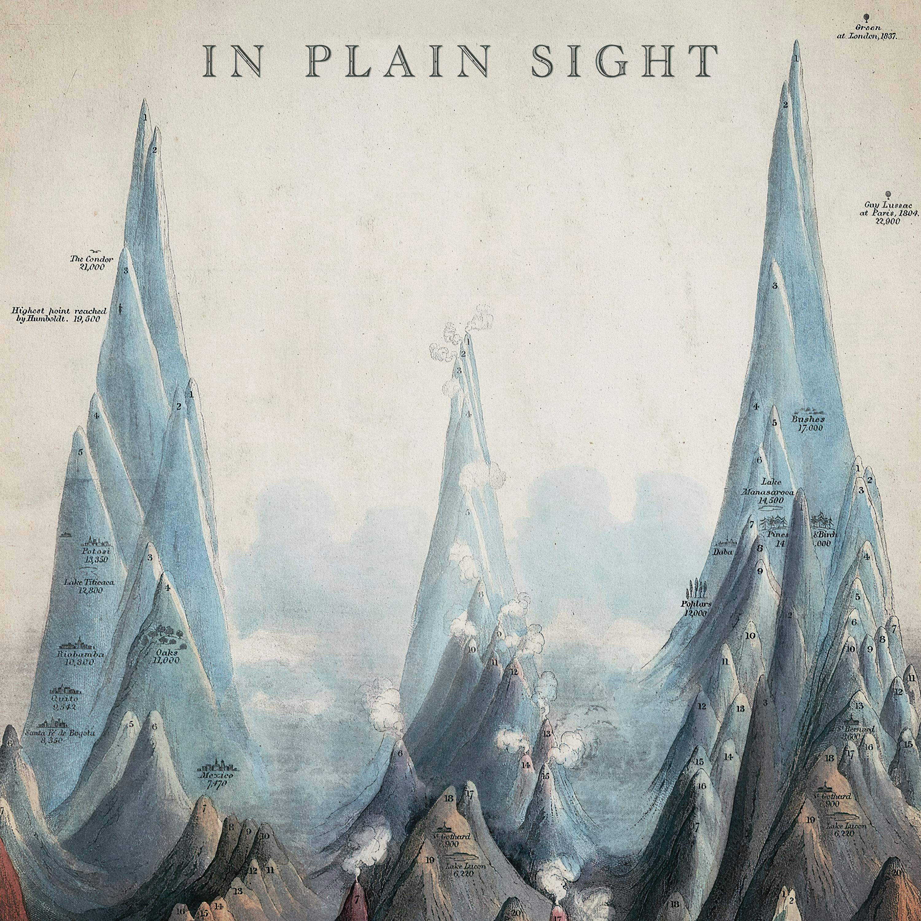 Cover art for In Plain Sight by Sweeps