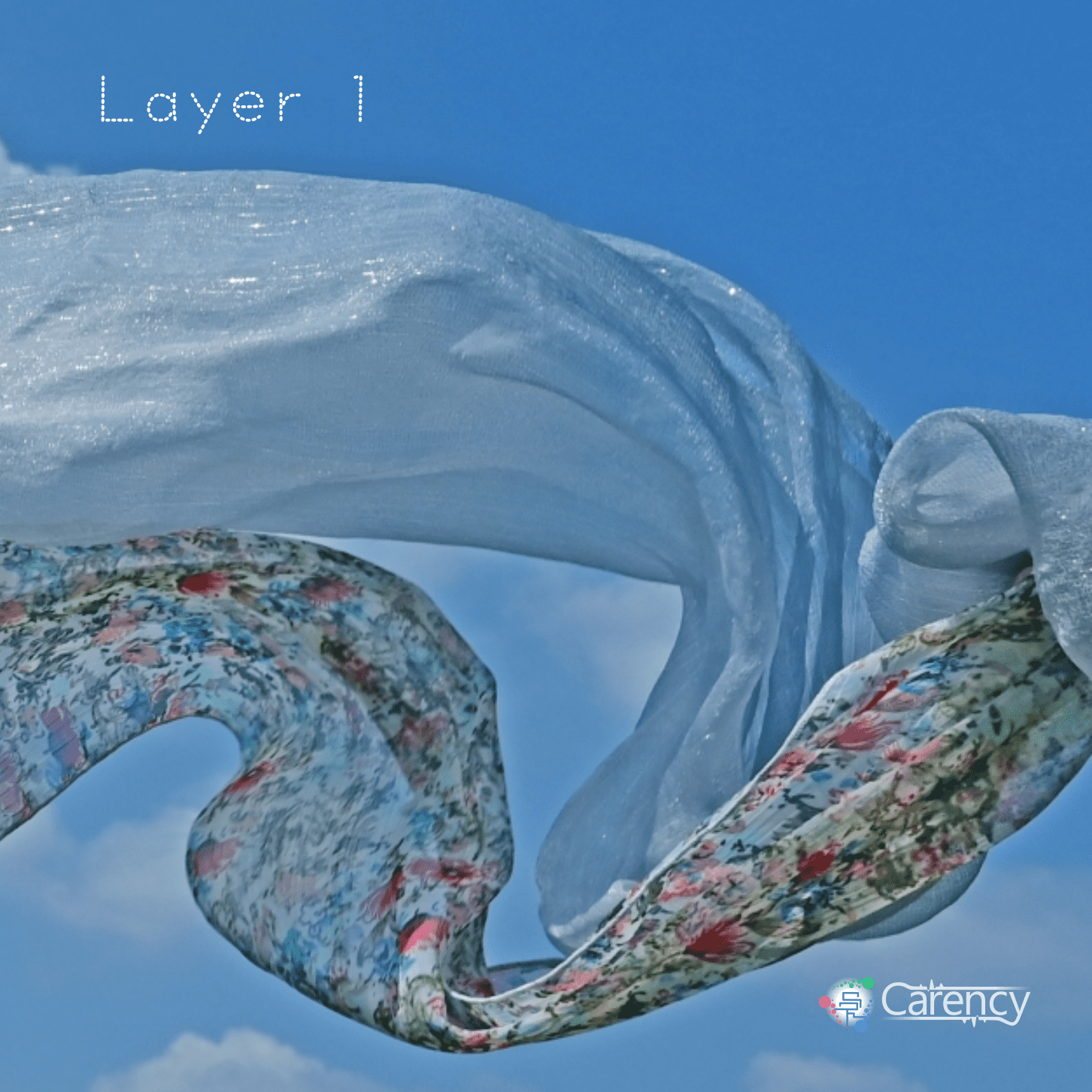 Cover art for Layer1 by Carency