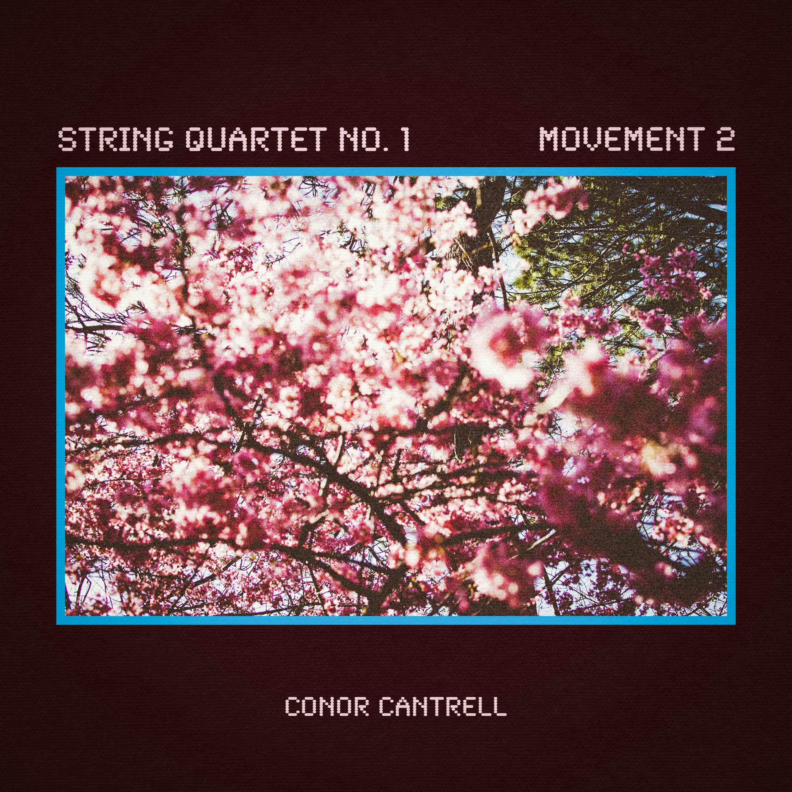 Cover art for String Quartet No. 1, Movement 2 by Conor Cantrell