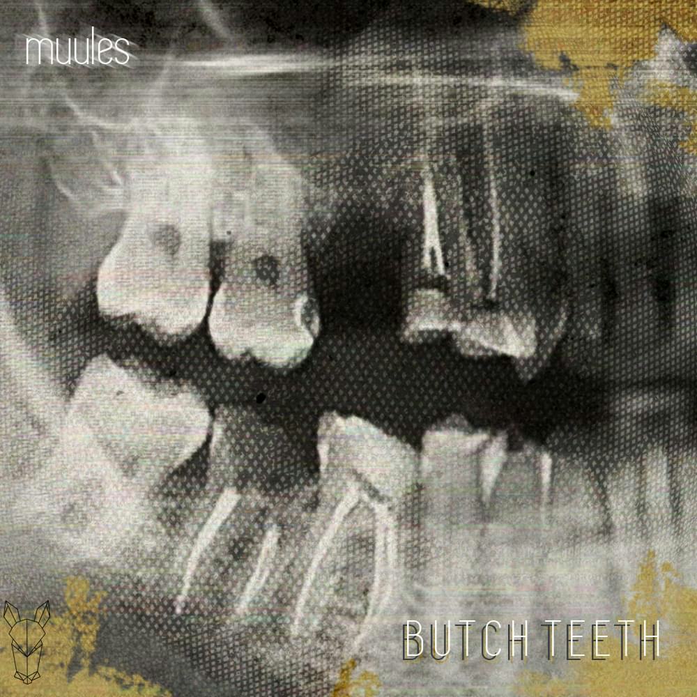 Cover art for Butch Teeth by Muules