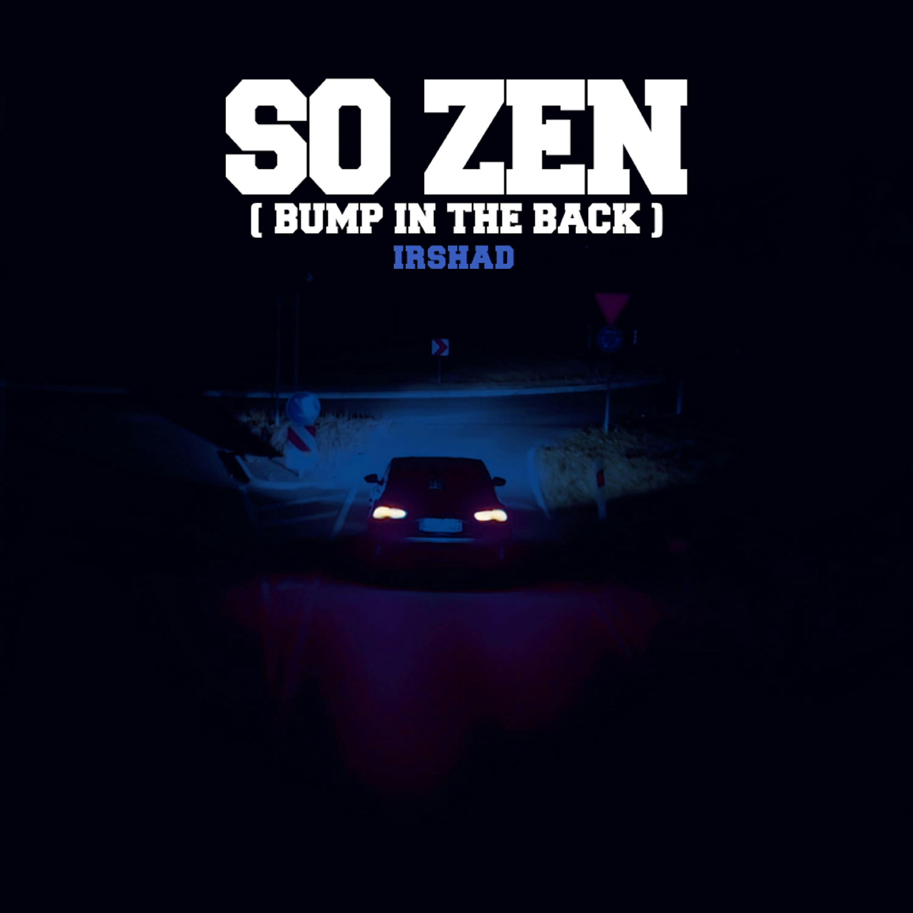 Cover art for So Zen (Bump In The Back) by 1RSH4D