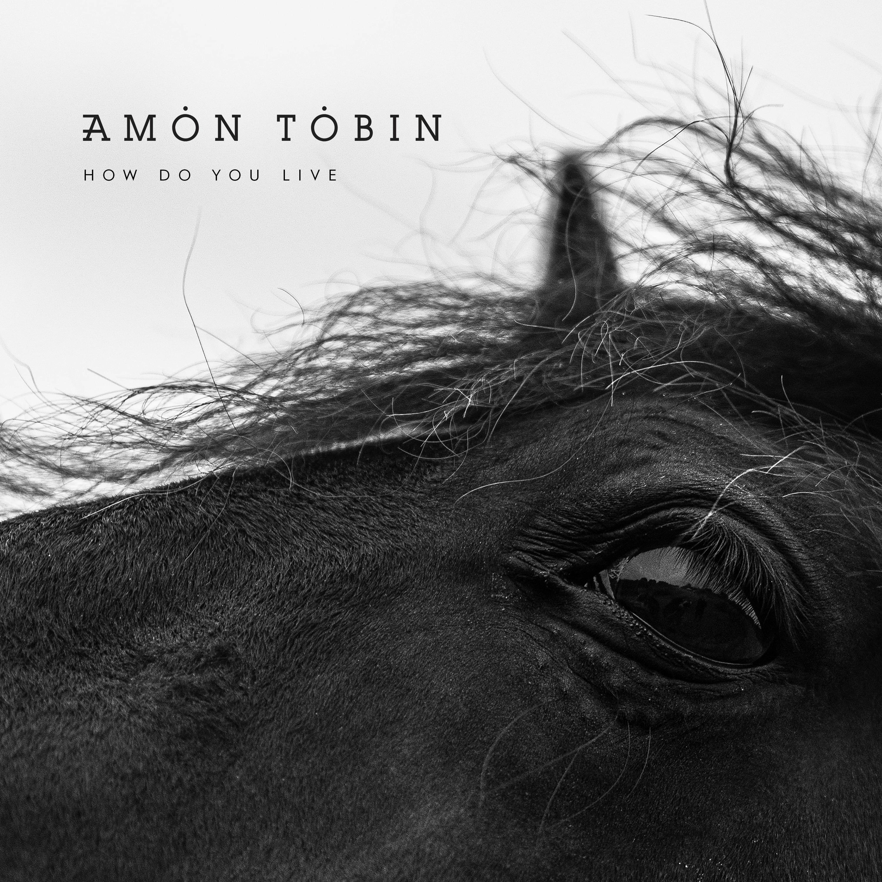 Cover art for How Do You Live by Amon Tobin