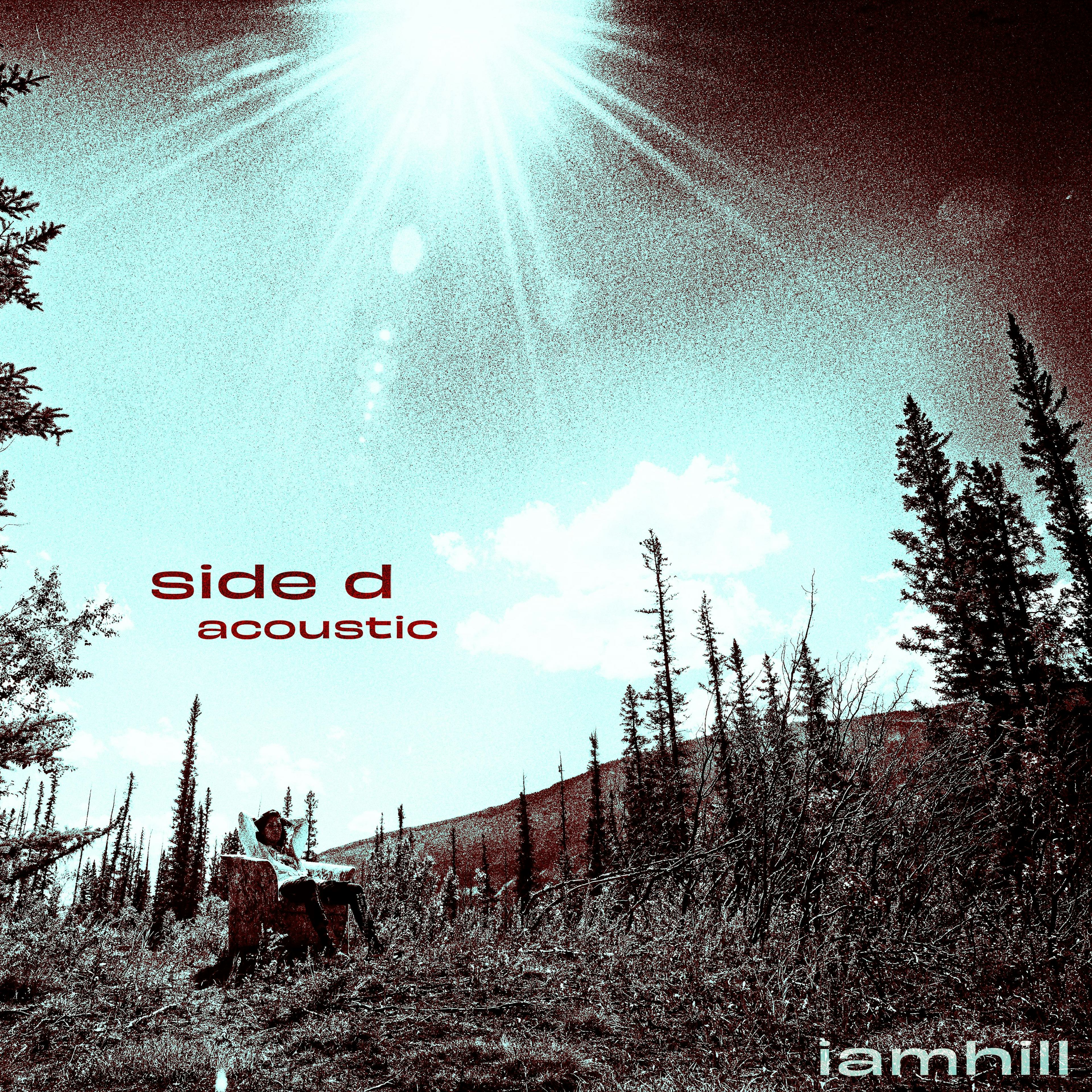 Cover art for Side D - Acoustic Version by i_am_hill