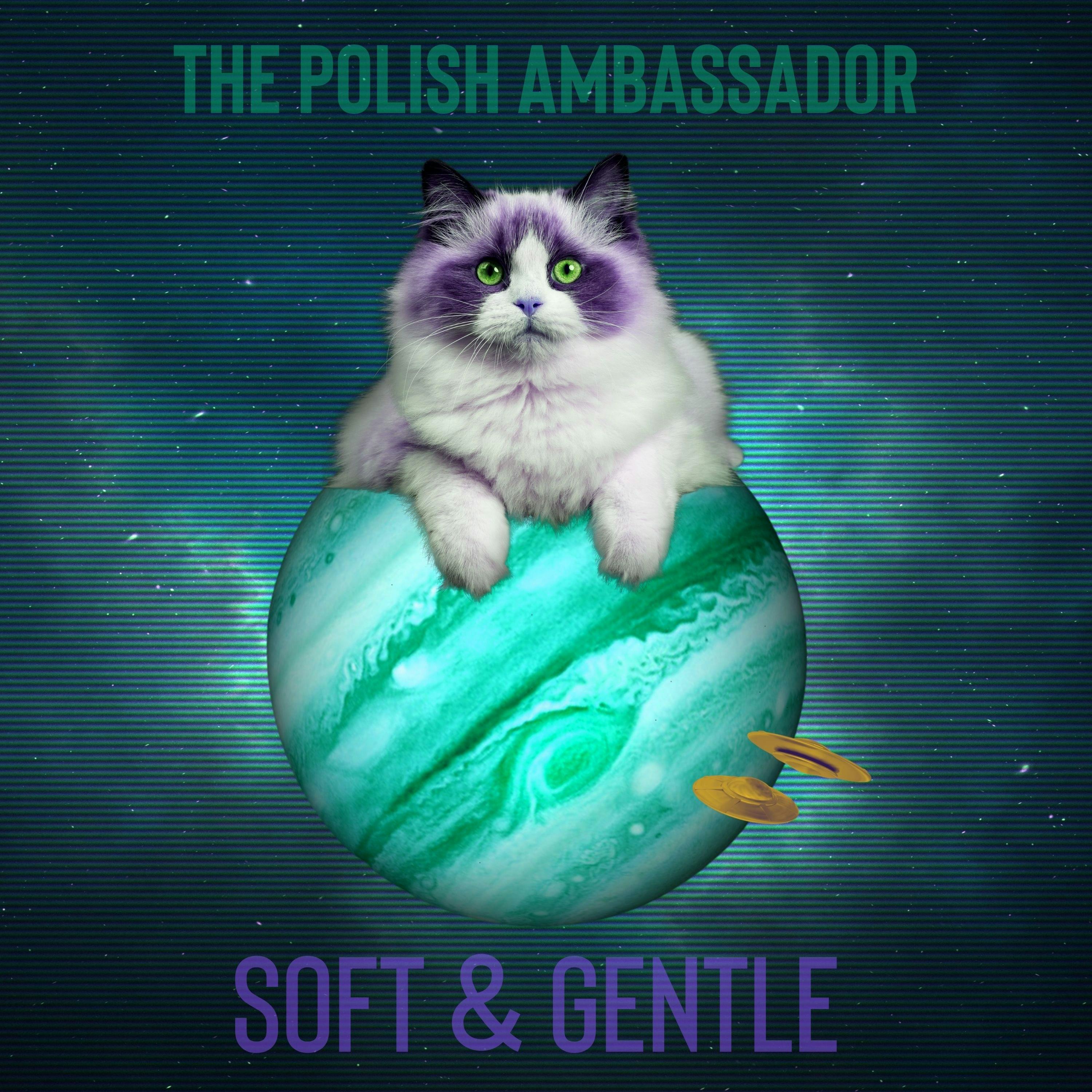 Cover art for Soft & Gentle by The Polish Ambassador