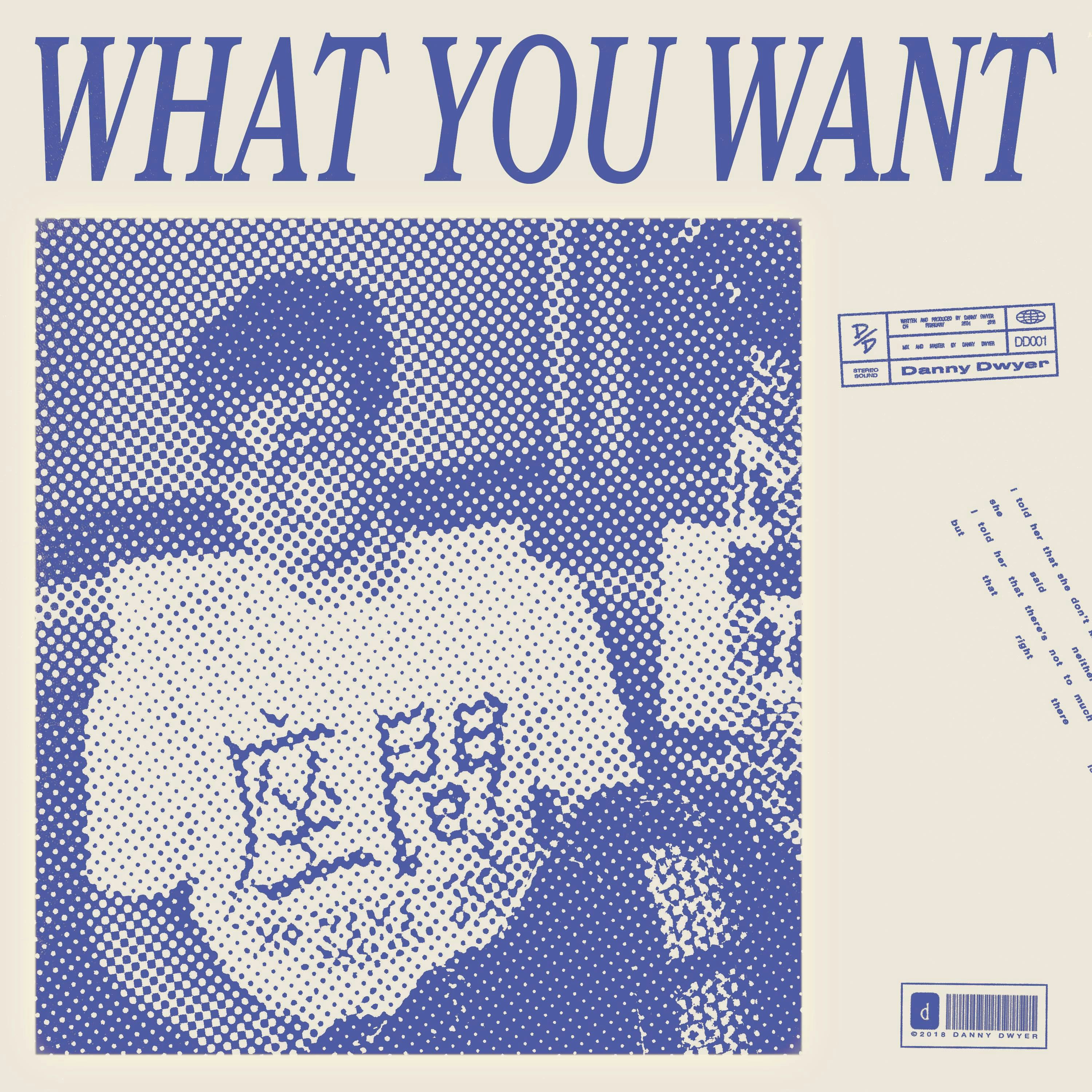 Cover art for What You Want by Danny Dwyer